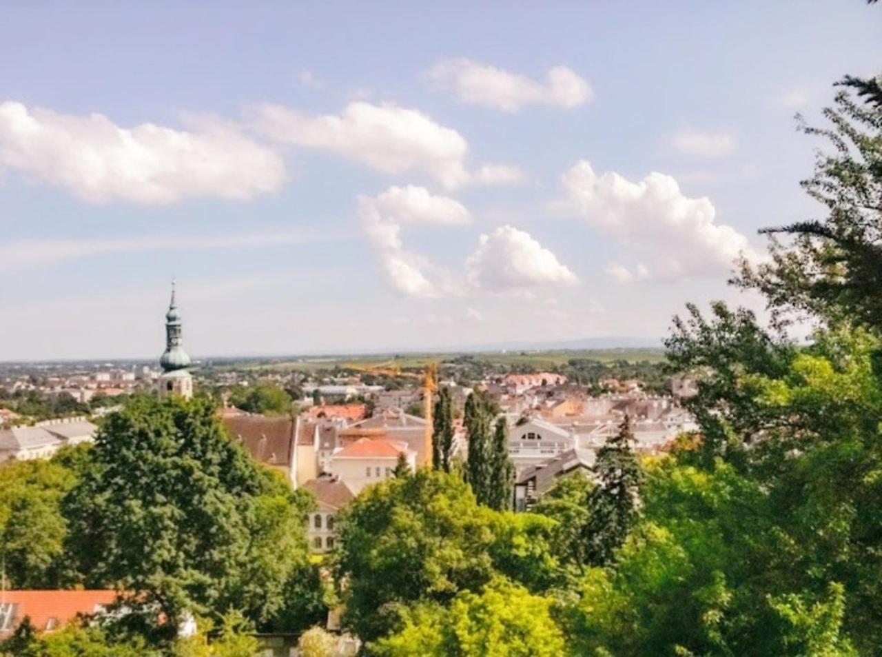 Landhaus Am Kurpark Apartment Baden Luaran gambar